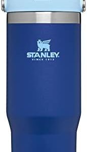 STANLEY IceFlow Stainless Steel Tumbler – Vacuum I…